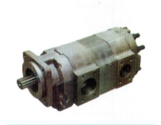 P76 Series Double Gear Pump