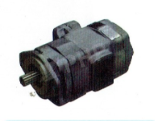 P315 Series Double Gear Pump